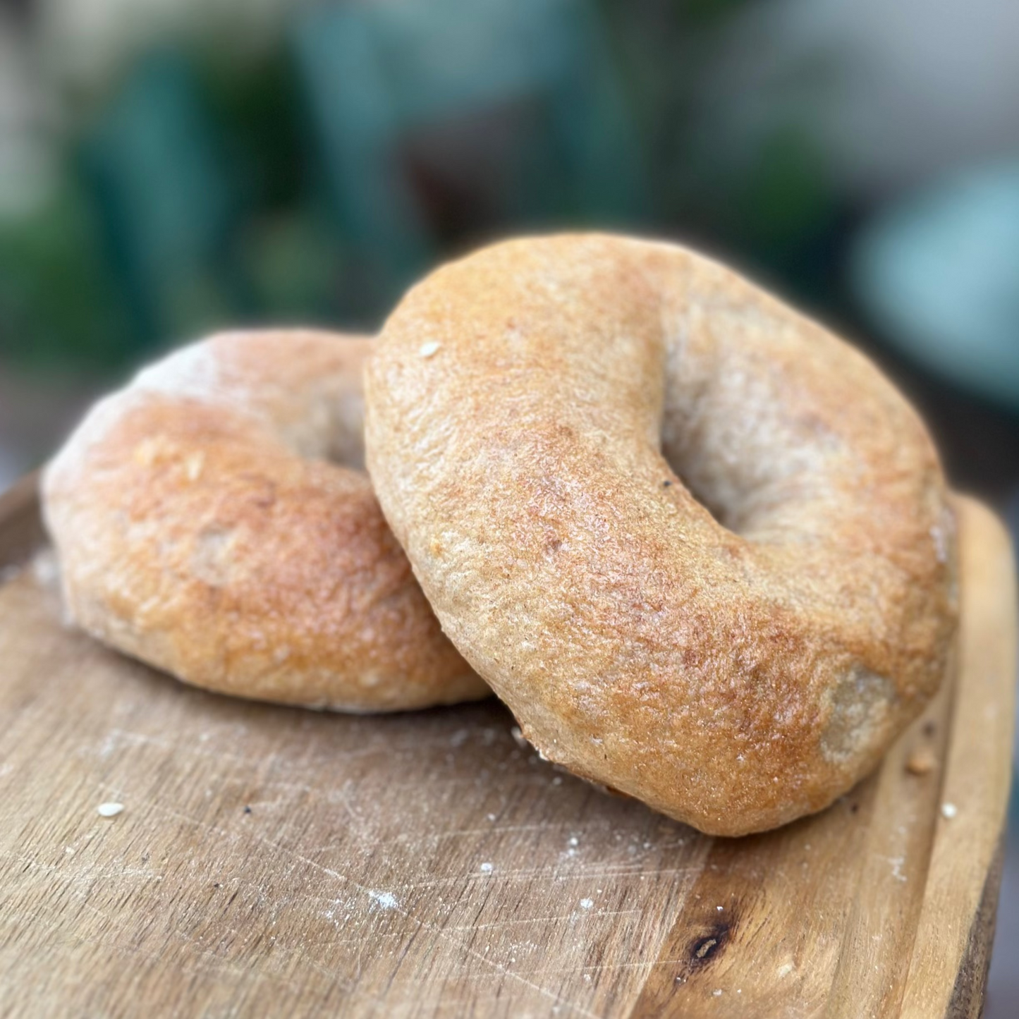 Bagels - Made Fresh to Order