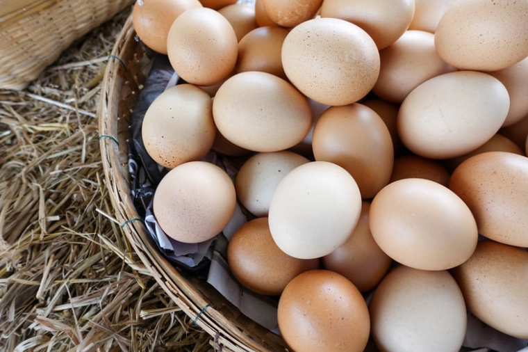 Farm Fresh Eggs